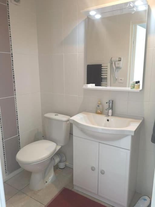 Le Studio Charmant A 20Min De Paris Villennes-sur-Seine Екстериор снимка